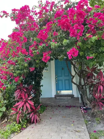 3779 Nw 4th Court Boca Raton FL 33431