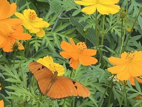 3779 Nw 4th Court Boca Raton FL 33431