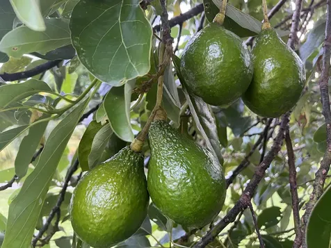 3779 Nw 4th Court Boca Raton FL 33431