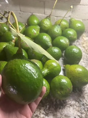 3779 Nw 4th Court Boca Raton FL 33431