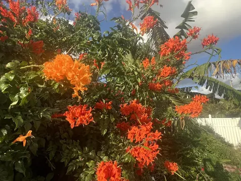 3779 Nw 4th Court Boca Raton FL 33431