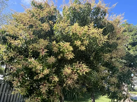 3779 Nw 4th Court Boca Raton FL 33431