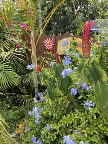 3779 Nw 4th Court Boca Raton FL 33431