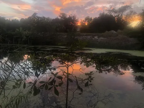 3779 Nw 4th Court Boca Raton FL 33431