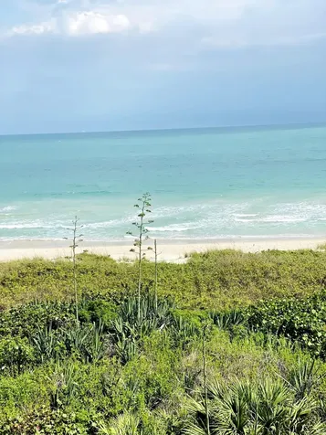 4250 N Highway A1a Hutchinson Island FL 34949