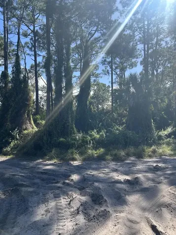 0 Slash Pine Trail Fort Pierce FL 34945