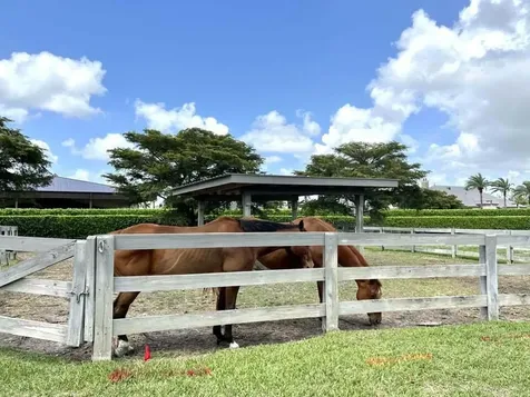 3585 Aiken Court Wellington FL 33414