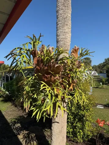 4743 Ne Blue Heron Lane Jensen Beach FL 34957