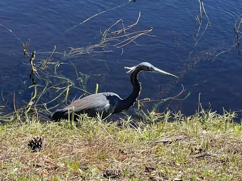 4310 Gator Trace Circle Fort Pierce FL 34982