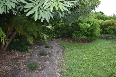 113 Burning Tree Lane Boca Raton FL 33431