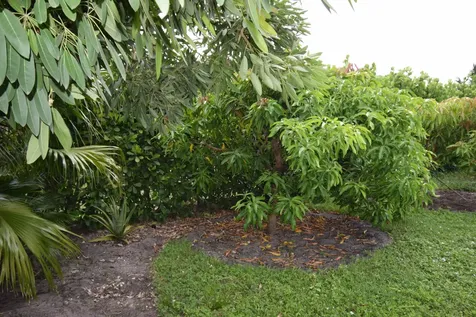 113 Burning Tree Lane Boca Raton FL 33431
