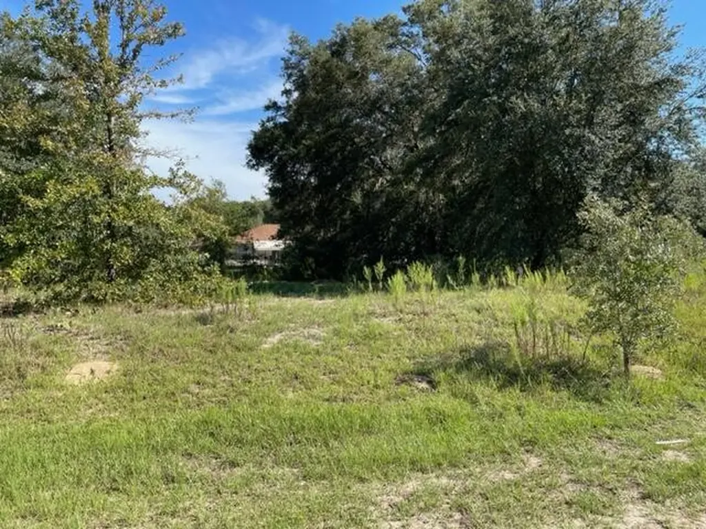 Tbd SW 104th Street Dunnellon FL 34432