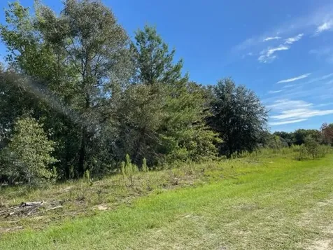 Tbd SW 104th Street Dunnellon FL 34432