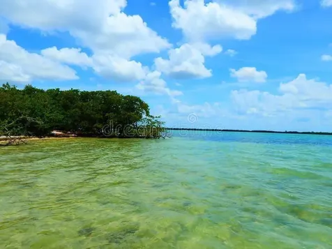 154 Baytree Drive Rotonda West FL 33947