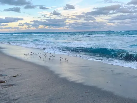 611 Sw 15th Street Boca Raton FL 33486
