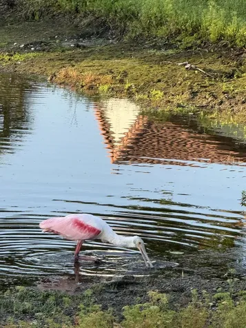 6367 Long Key Lane Boynton Beach FL 33472