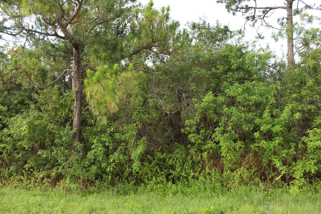 ''17992'' 94th Street Loxahatchee FL 33470