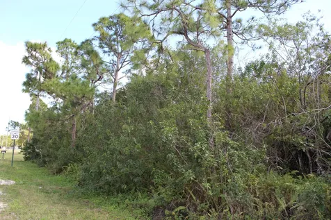''17992'' 94th Street Loxahatchee FL 33470