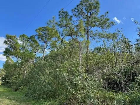 ''17992'' 94th Street Loxahatchee FL 33470
