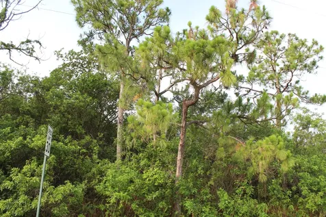 ''17992'' 94th Street Loxahatchee FL 33470