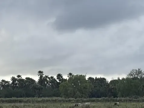 1425 S Header Canal Road Fort Pierce FL 34945