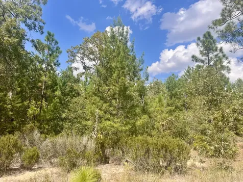 204 Glasgow Street Interlachen FL 32148