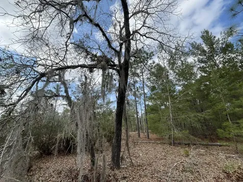 204 Glasgow Street Interlachen FL 32148