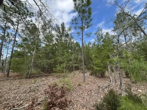 204 Glasgow Street Interlachen FL 32148