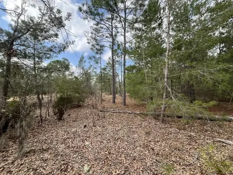 204 Glasgow Street Interlachen FL 32148