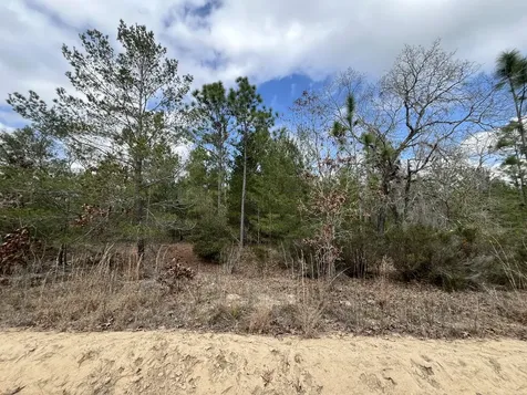 204 Glasgow Street Interlachen FL 32148