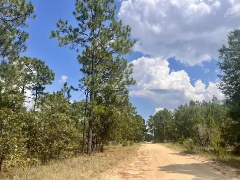 204 Glasgow Street Interlachen FL 32148