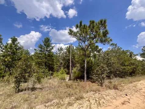 204 Glasgow Street Interlachen FL 32148