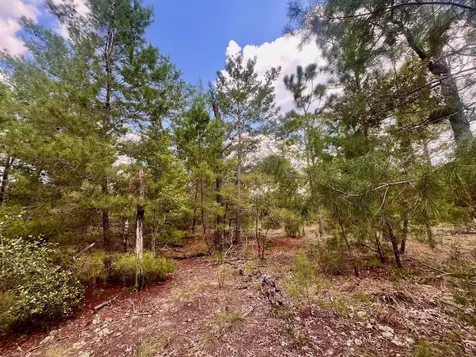 204 Glasgow Street Interlachen FL 32148