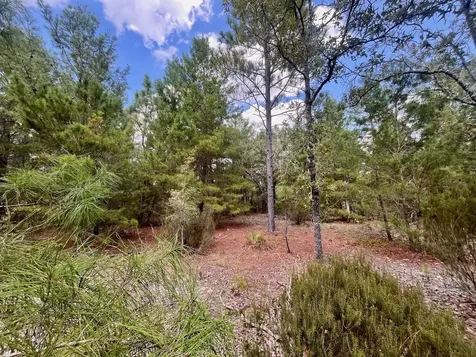 204 Glasgow Street Interlachen FL 32148