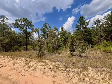 204 Glasgow Street Interlachen FL 32148