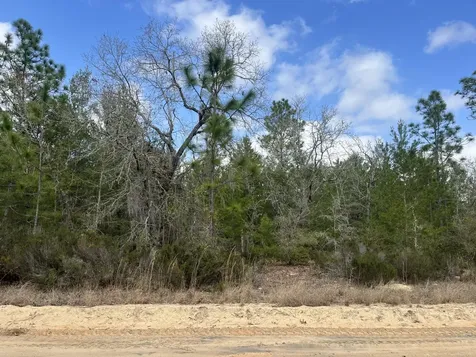 204 Glasgow Street Interlachen FL 32148