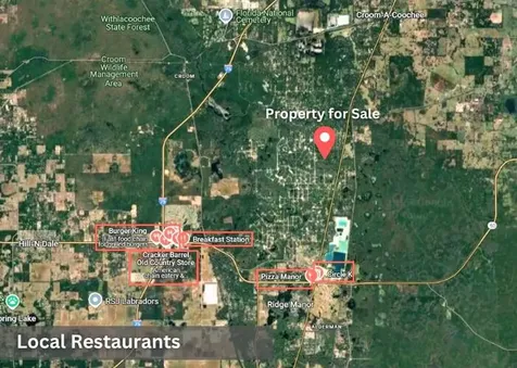 0 Wishing Stone Street Street Webster FL 33597