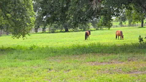 4567 State Road 710 Okeechobee FL 34974