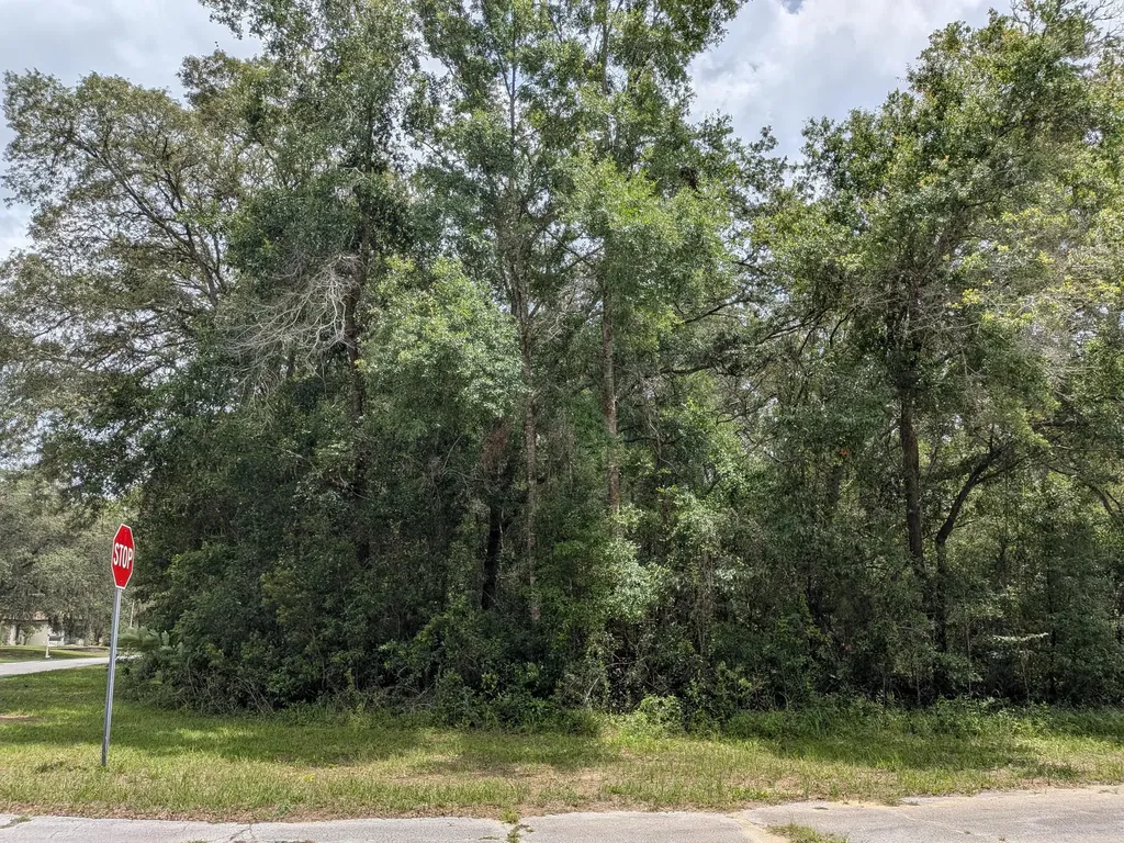 8989 N Conch Terrace Dunnellon FL 34434