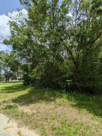8989 N Conch Terrace Dunnellon FL 34434