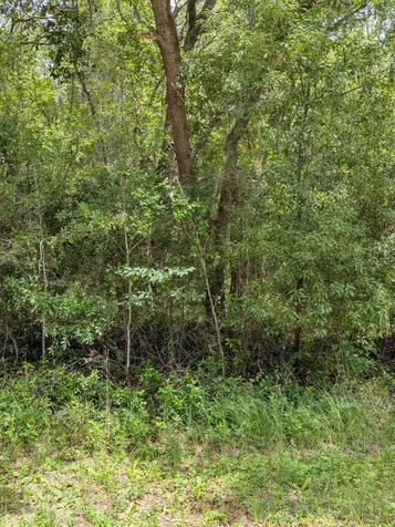 8989 N Conch Terrace Dunnellon FL 34434