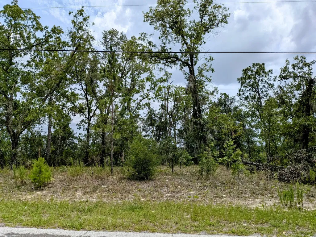 2450 W Rutland Drive Citrus Springs FL 34434