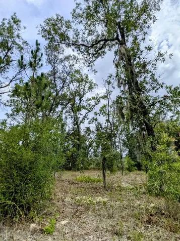 2450 W Rutland Drive Citrus Springs FL 34434