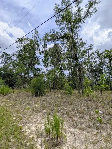 2450 W Rutland Drive Citrus Springs FL 34434