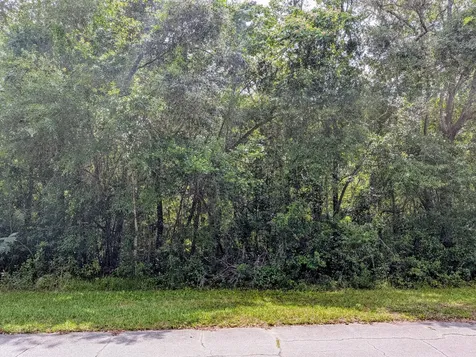 8970 N Joann Drive Citrus Springs FL 34434