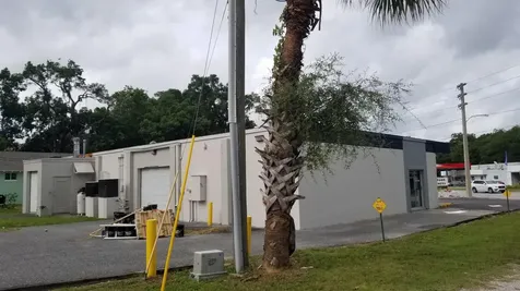 11884 N Williams Street All Units Street Dunnellon FL 34432