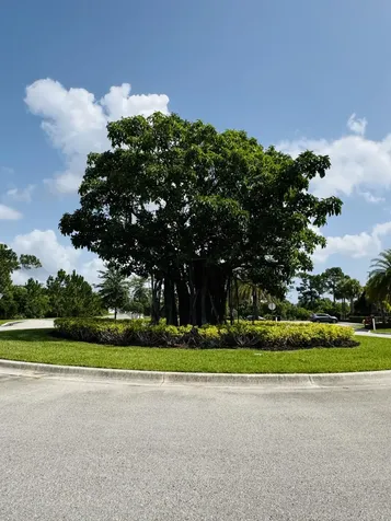 163 Sw Pomeroy Street Stuart FL 34997