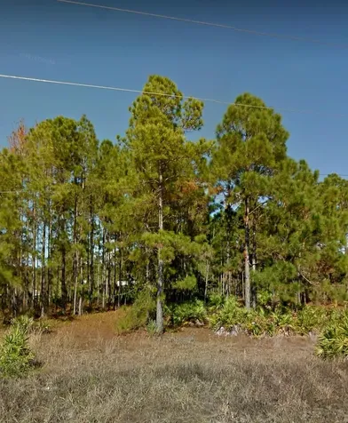1109 Colonial Street Lehigh Acres FL 33974