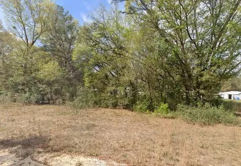 119 Smokey Avenue Interlachen FL 32148