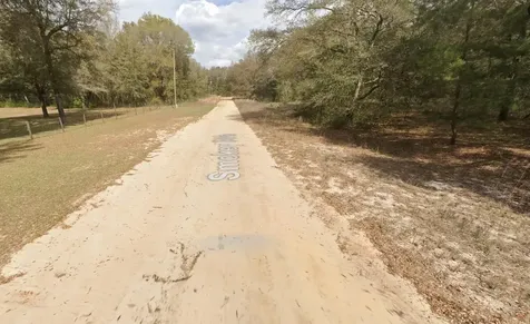 119 Smokey Avenue Interlachen FL 32148